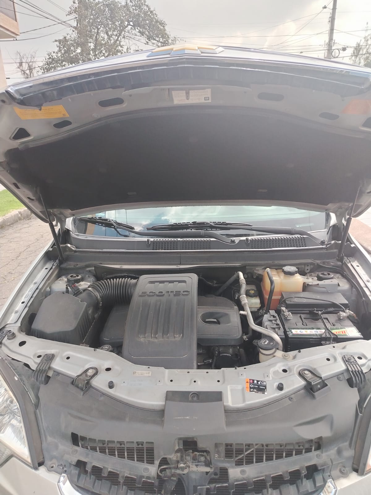 WhatsApp Image 2026-01-27 at 10.31.08 AM