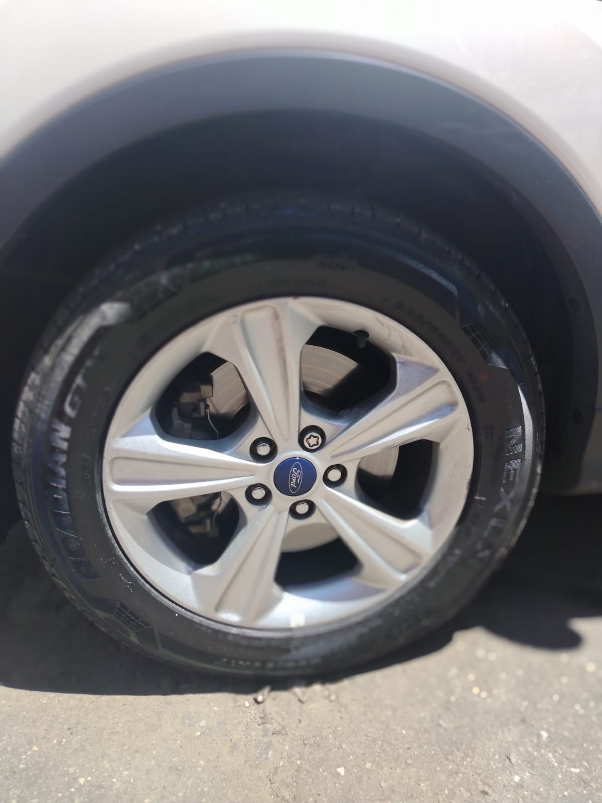 WhatsApp Image 2026-02-26 at 1.18.56 PM (1)