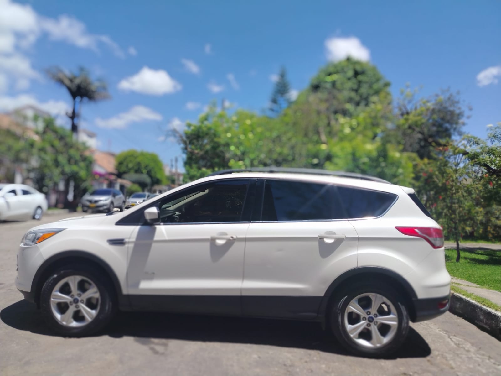 WhatsApp Image 2026-02-26 at 1.19.01 PM