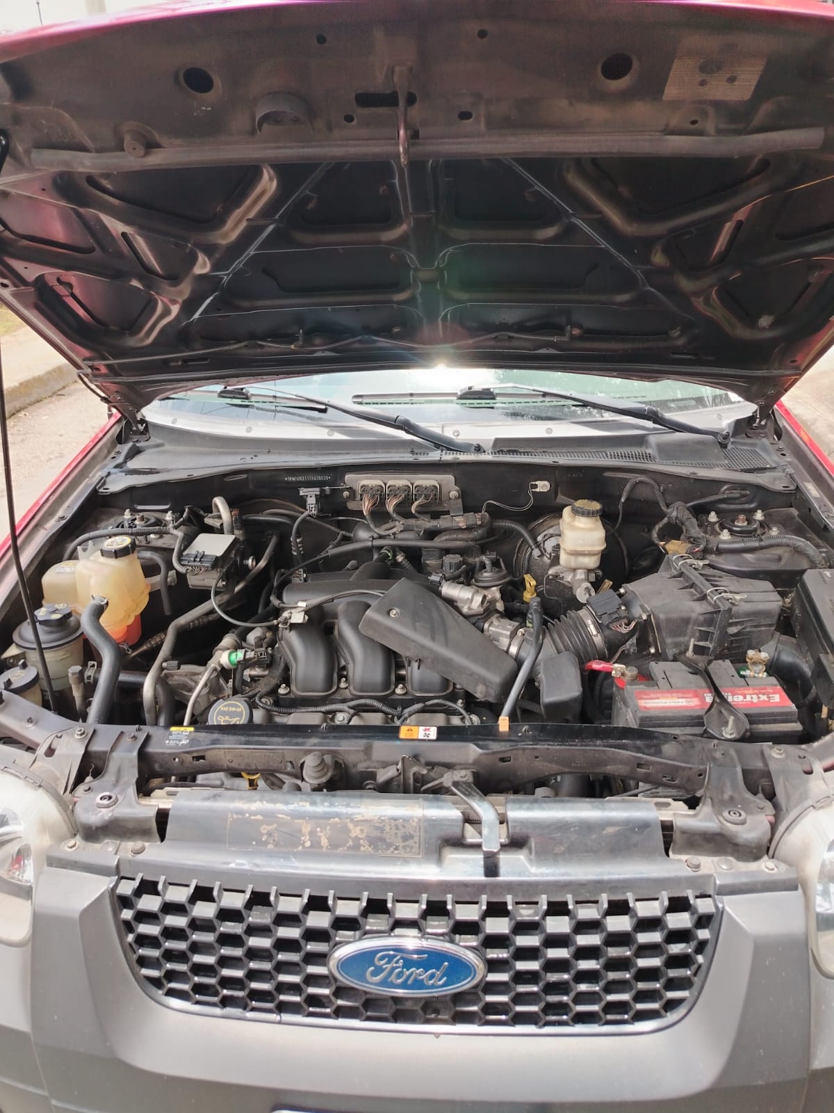 WhatsApp Image 2026-03-30 at 1.23.33 PM (3)