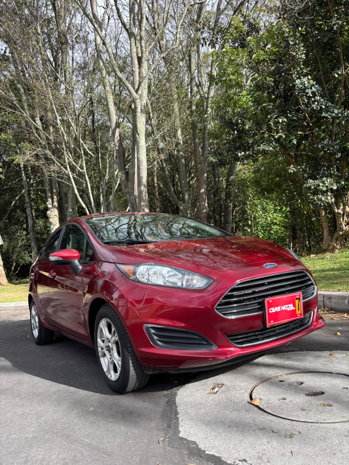 FORD FIESTA 2015 - Imagen 3