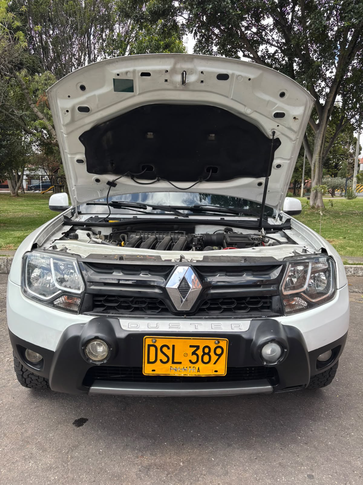 RENAULT DUSTER 4*4 2017 - Imagen 7