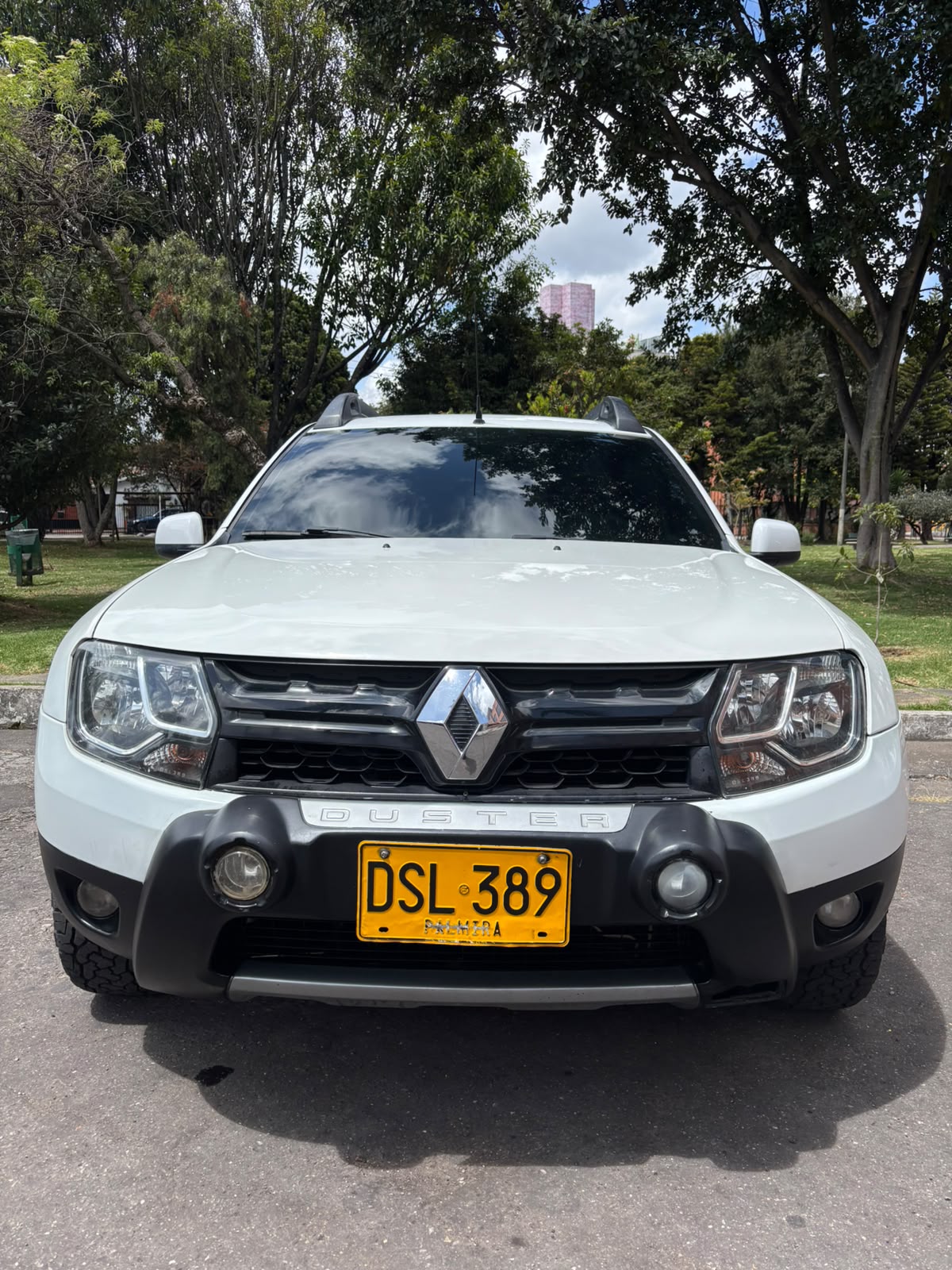 RENAULT DUSTER 4*4 2017 - Imagen 3